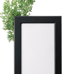 blank-wooden-frame-with-cedar-twig-isolated-white-background-removebg-preview